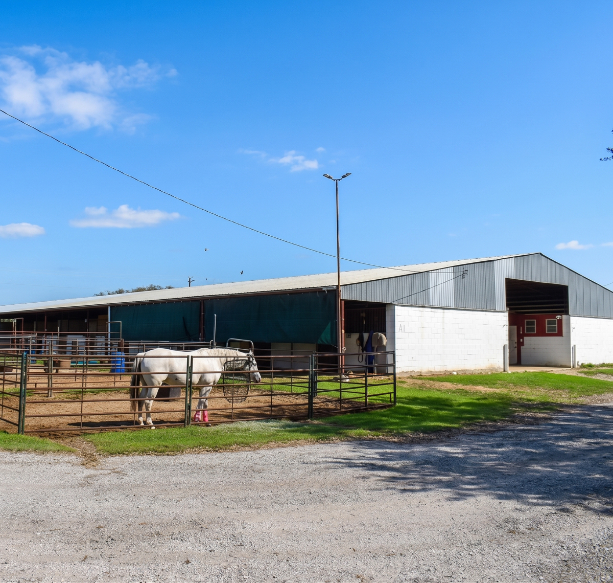 KCFA-Horse-Boarding-003